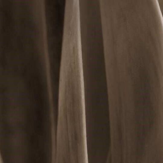 Woody Image