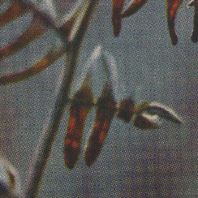 durabilite
