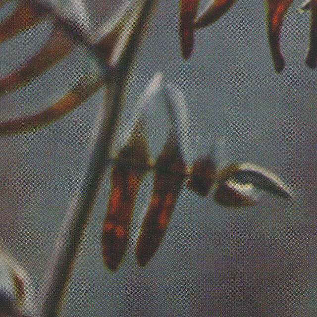 durabilite